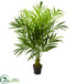 Silk Plants Direct Kentia Palm Artificial Tree - Pack of 1