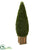 Silk Plants Direct Boxwood Cone Topiary Artificial Tree - Pack of 1