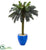 Silk Plants Direct Sago Palm Artificial Tree - Pack of 1