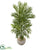 Silk Plants Direct Areca Palm Artificial Tree - Pack of 1