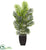 Silk Plants Direct Paradise Palm Artificial Tree - Pack of 1