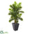 Silk Plants Direct Areca Palm Artificial Tree - Pack of 1