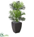 Silk Plants Direct Paradise Palm Artificial Tree - Pack of 1