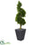 Silk Plants Direct Boxwood Spiral Topiary Artificial Tree - Pack of 1