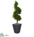 Silk Plants Direct Boxwood Spiral Topiary Artificial Tree - Pack of 1