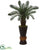 Silk Plants Direct Cycas Artificial Tree - Pack of 1