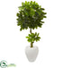 Silk Plants Direct Schefflera Artificial Tree - Pack of 1