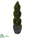 Silk Plants Direct Double Pond Cypress Spiral Topiary Artificial Tree - Pack of 1