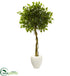 Silk Plants Direct Ficus Artificial Tree - Pack of 1