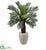 Silk Plants Direct Cycas Artificial Tree - Pack of 1