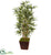 Silk Plants Direct Bamboo Tree - Pack of 1