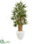 Silk Plants Direct Bamboo Tree - Pack of 1