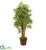 Silk Plants Direct Bamboo Tree - Pack of 1