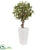 Silk Plants Direct Olive Tree - Pack of 1