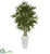 Silk Plants Direct Bamboo Artificial Tree - Pack of 1