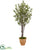 Silk Plants Direct Olive Tree - Pack of 1