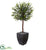 Silk Plants Direct Olive Topiary Artificial Tree - Pack of 1