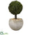 Silk Plants Direct Boxwood Topiary Artificial Tree - Pack of 1