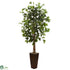 Silk Plants Direct Ficus Tree - Pack of 1