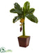 Silk Plants Direct Banana Tree - Pack of 1