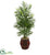 Silk Plants Direct Areca Palm Tree - Pack of 1