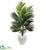 Silk Plants Direct Kentia Palm Tree - Pack of 1