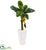 Silk Plants Direct Banana Tree - Pack of 1