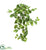 Silk Plants Direct Pothos Hanging Bush - Pack of 1