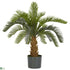 Silk Plants Direct Cycas - Green - Pack of 1