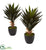 Silk Plants Direct Agave Artificial Plant - Pack of 1