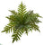 Silk Plants Direct Hares Foot Fern Bush Artificial Plant - Pack of 1