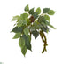 Silk Plants Direct Mixed Royal Ficus and Fittonia Pick Artificial Plant - Pack of 1