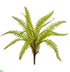 Silk Plants Direct Fern Artificial Plant - Pack of 1