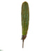 Silk Plants Direct Cactus Artificial Plant - Pack of 1