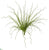 Silk Plants Direct Curly Grass Artificial Plant - Pack of 1