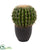 Silk Plants Direct Cactus Artificial Plant - Pack of 1