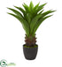 Silk Plants Direct Agave Artificial Plant - Pack of 1