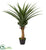 Silk Plants Direct Agave Artificial Plant - Pack of 1