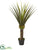 Silk Plants Direct Pandanus Artificial Plant - Pack of 1