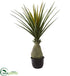 Silk Plants Direct Pandanus Artificial Plant - Pack of 1