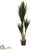 Silk Plants Direct Yucca Artificial Plant - Pack of 1