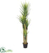 Silk Plants Direct Dracaena Artificial Plant - Pack of 1