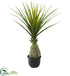 Silk Plants Direct Dracaena Plant - Pack of 1