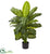 Silk Plants Direct Dieffenbachia Artificial Plant - Pack of 1