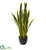 Silk Plants Direct Sansevieria Artificial Plant - Pack of 1