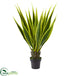 Silk Plants Direct Agave Artificial Plant - Pack of 1