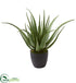 Silk Plants Direct Aloe Artificial Plant - Pack of 1