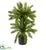 Silk Plants Direct Double Cycas Artificial Plant - Pack of 1