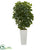 Silk Plants Direct Schefflera Artificial Plant - Pack of 1