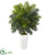 Silk Plants Direct Areca Palm Artificial Plant - Pack of 1